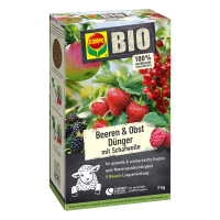 COMPO BIO Beeren und Obst Langzeitdünger 2 kg