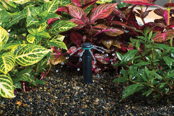 HUNTER Sprühdüse Pro Spray Bubbler, 180°, 114 l/h